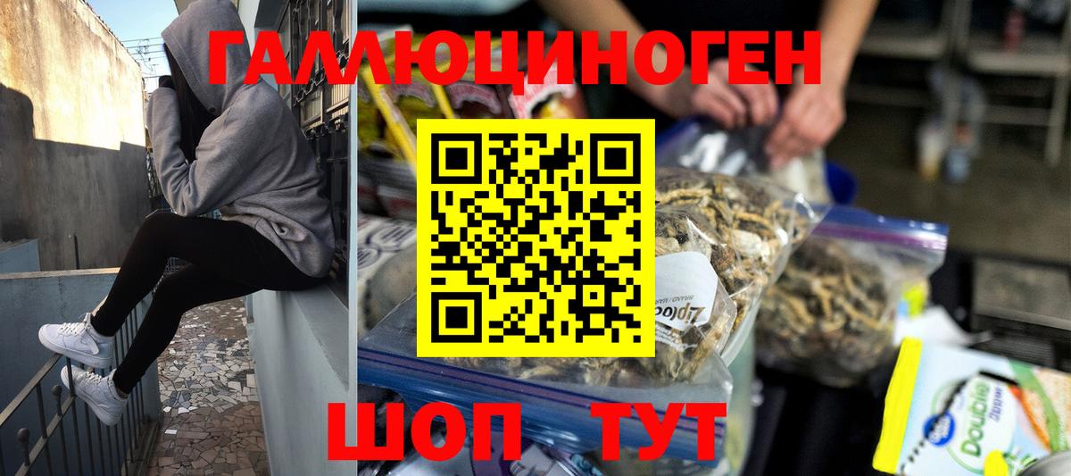 Галлюциногенные грибы Psilocybine cubensis  Вход с VPN  Галлюциногенные грибы мицелий  Жигулёвск 