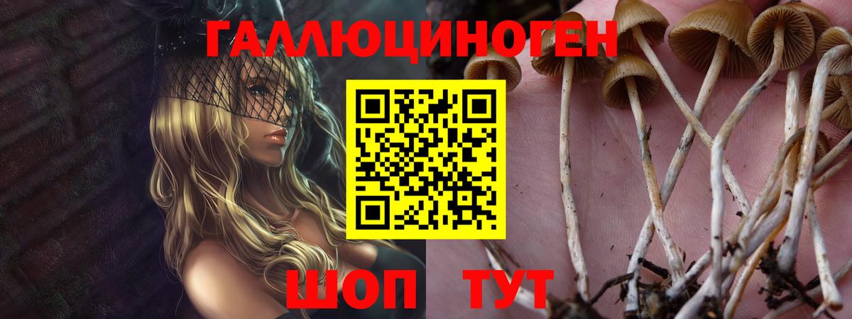 Псилоцибиновые грибы Psilocybe Жигулёвск